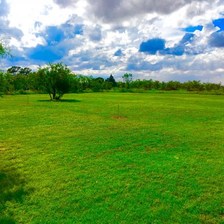 Green Field at West Texas Friendly RV Park